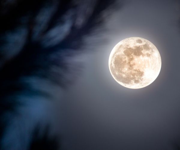 Full moon